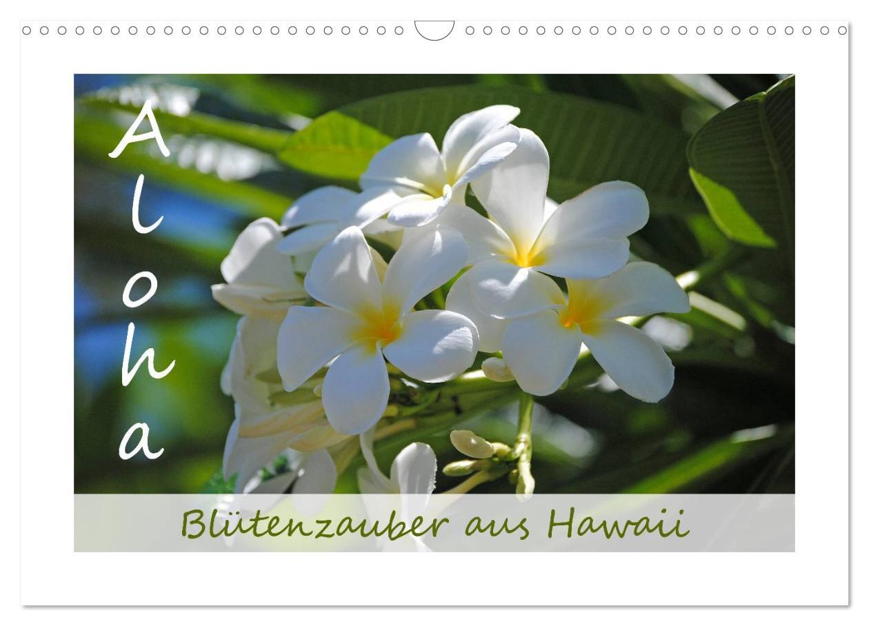 Cover: 9783435583126 | Aloha Blütenzauber aus Hawaii (Wandkalender 2025 DIN A3 quer),...