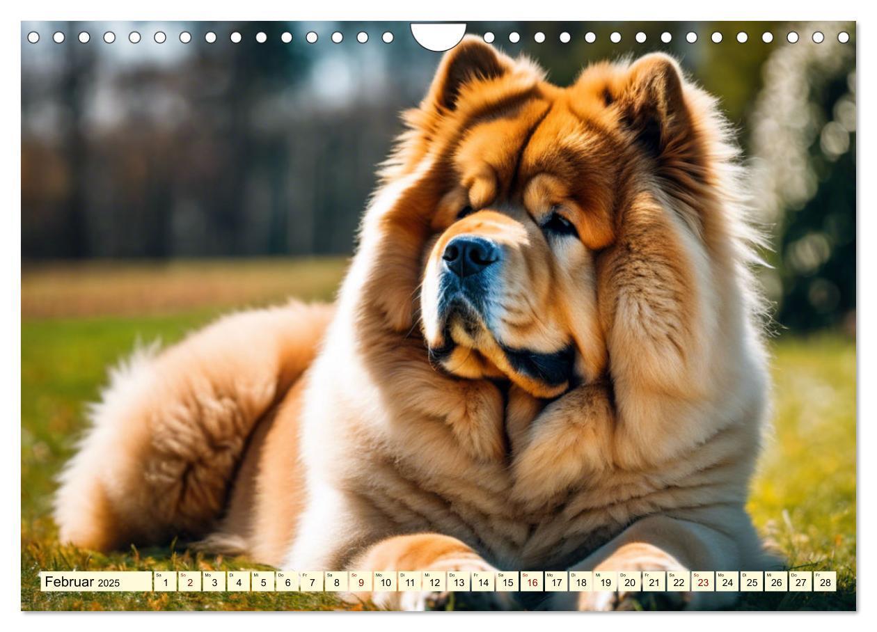 Bild: 9783457015513 | Chow Chow - der Löwenkopfhund (Wandkalender 2025 DIN A4 quer),...