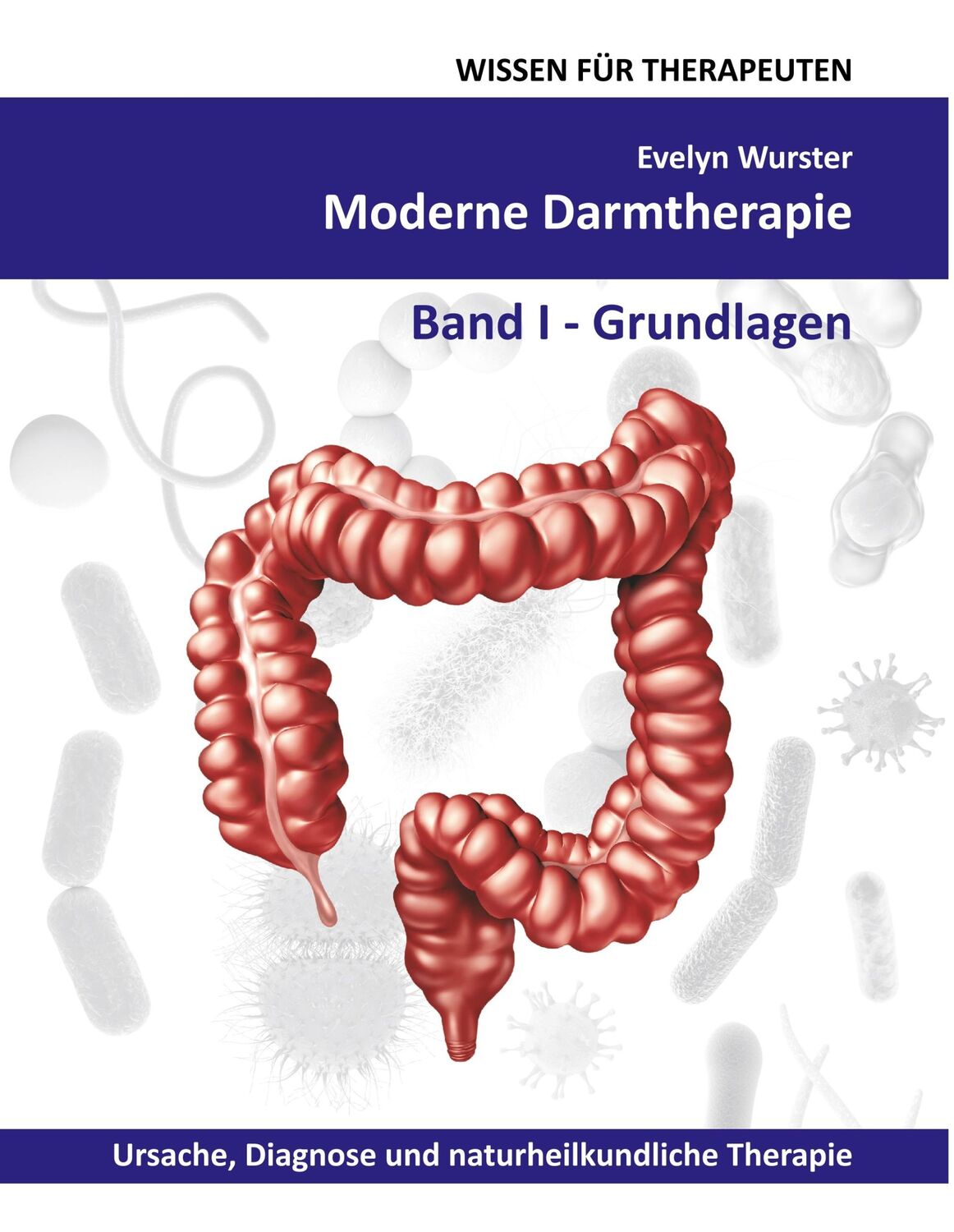 Cover: 9783748173960 | Moderne Darmtherapie | Band 1 Grundlagen | Evelyn Wurster | Buch