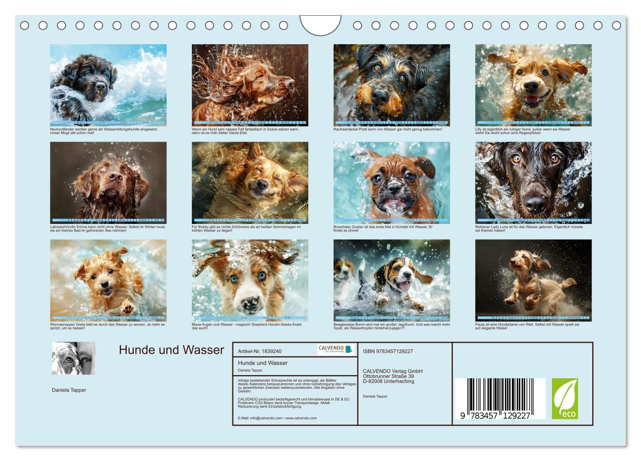 Bild: 9783457129227 | Hunde und Wasser (Wandkalender 2025 DIN A4 quer), CALVENDO...