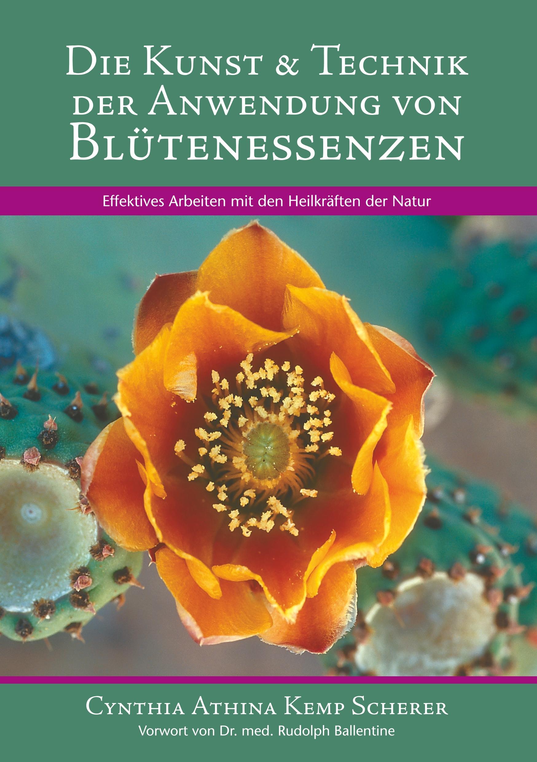 Cover: 9783749465996 | Die Kunst &amp; Technik der Anwendung von Blütenessenzen | Scherer | Buch