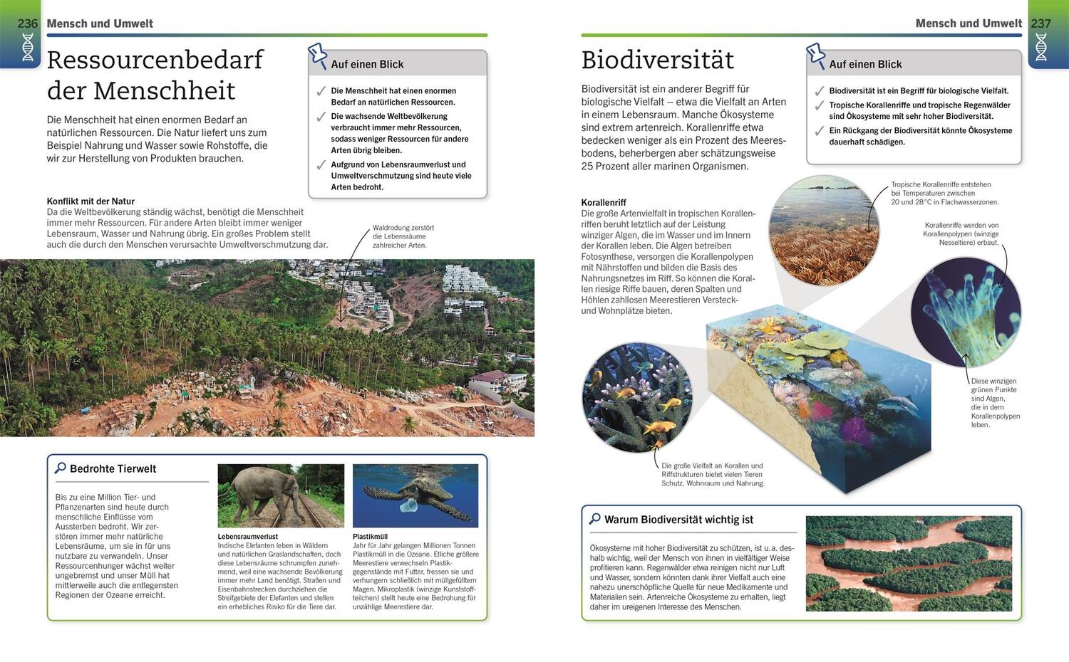 Bild: 9783831042906 | Visuelles Wissen. Biologie | Taschenbuch | Visuelles Wissen | 288 S.