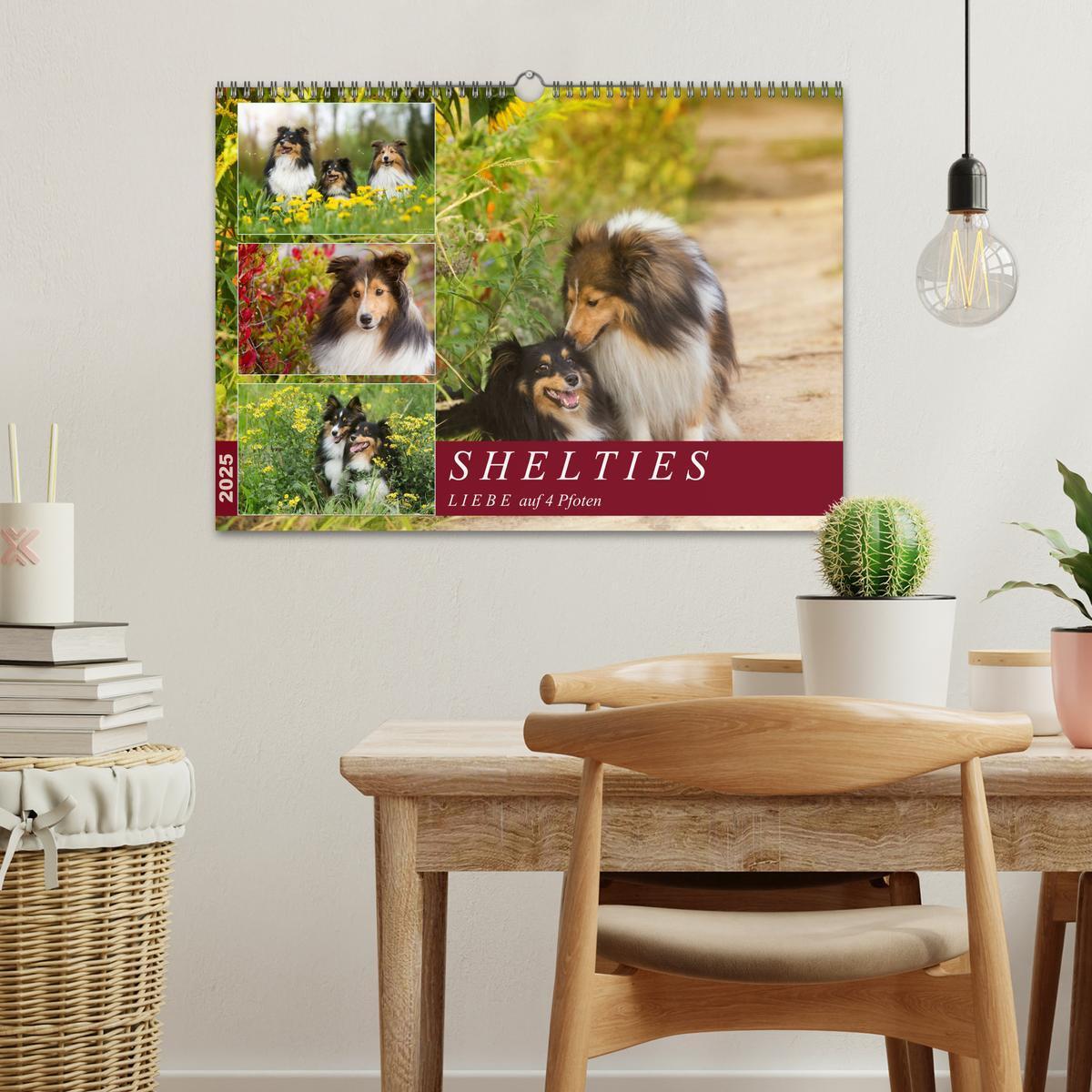 Bild: 9783435423415 | SHELTIES Liebe auf 4 Pfoten (Wandkalender 2025 DIN A3 quer),...