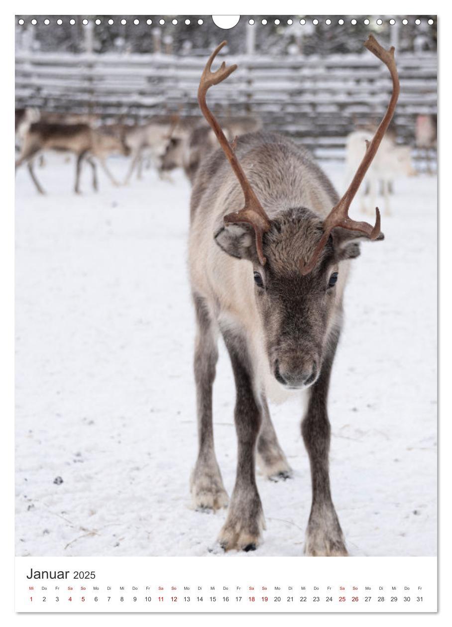 Bild: 9783435886258 | Winter in Lappland - Bezaubernde Schönheit (Wandkalender 2025 DIN...