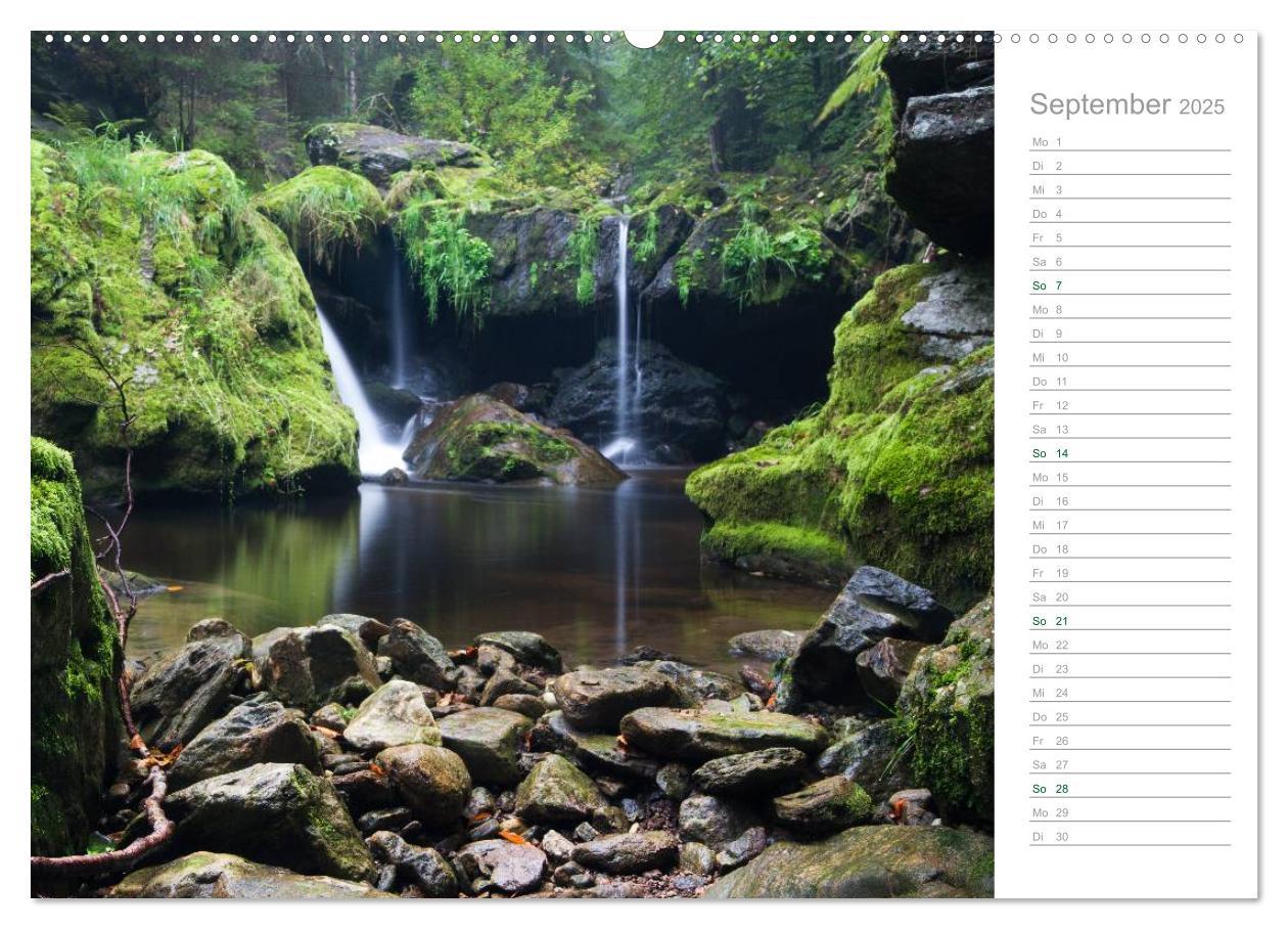 Bild: 9783435541850 | Im Deutschen Wald 2025 - ein Notizkalender (Wandkalender 2025 DIN...