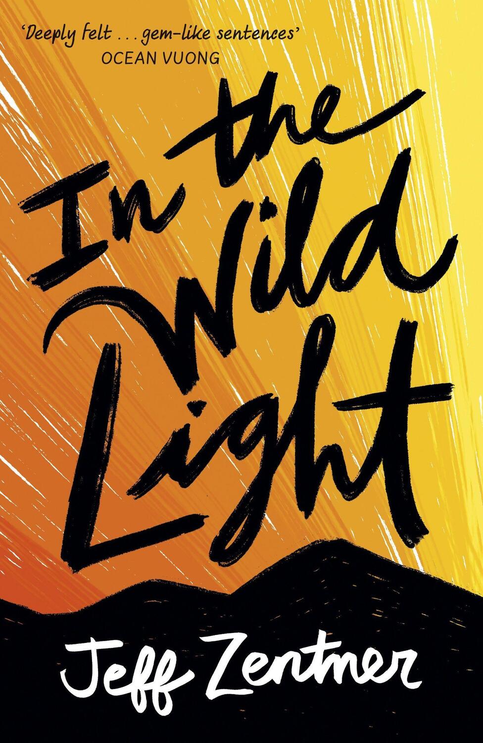 Cover: 9781839130847 | In the Wild Light | Jeff Zentner | Taschenbuch | Englisch | 2021