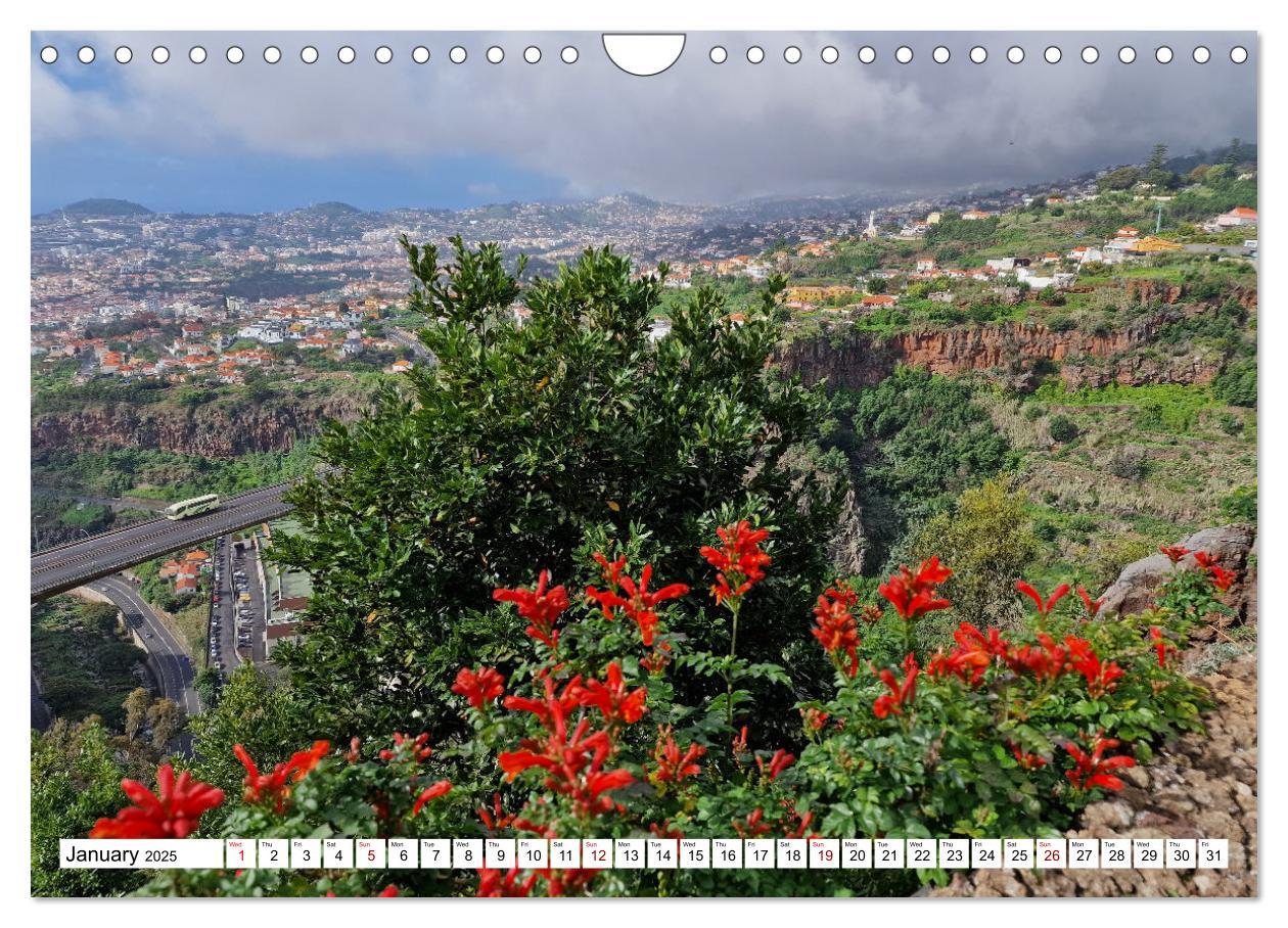 Bild: 9781325930456 | Madeira island of eternal spring (Wall Calendar 2025 DIN A4...