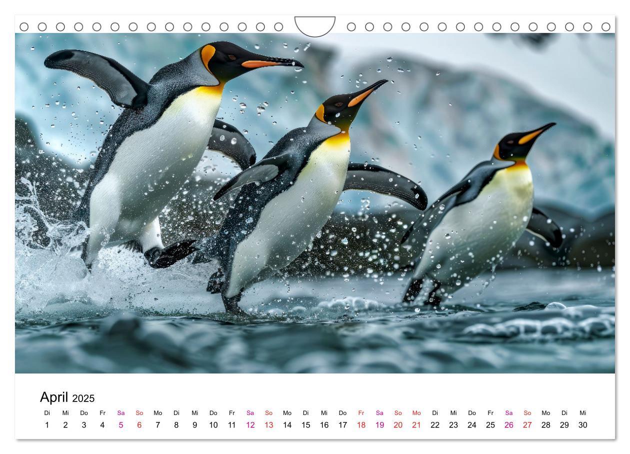 Bild: 9783457164389 | Maritim pur - Pinguine (Wandkalender 2025 DIN A4 quer), CALVENDO...