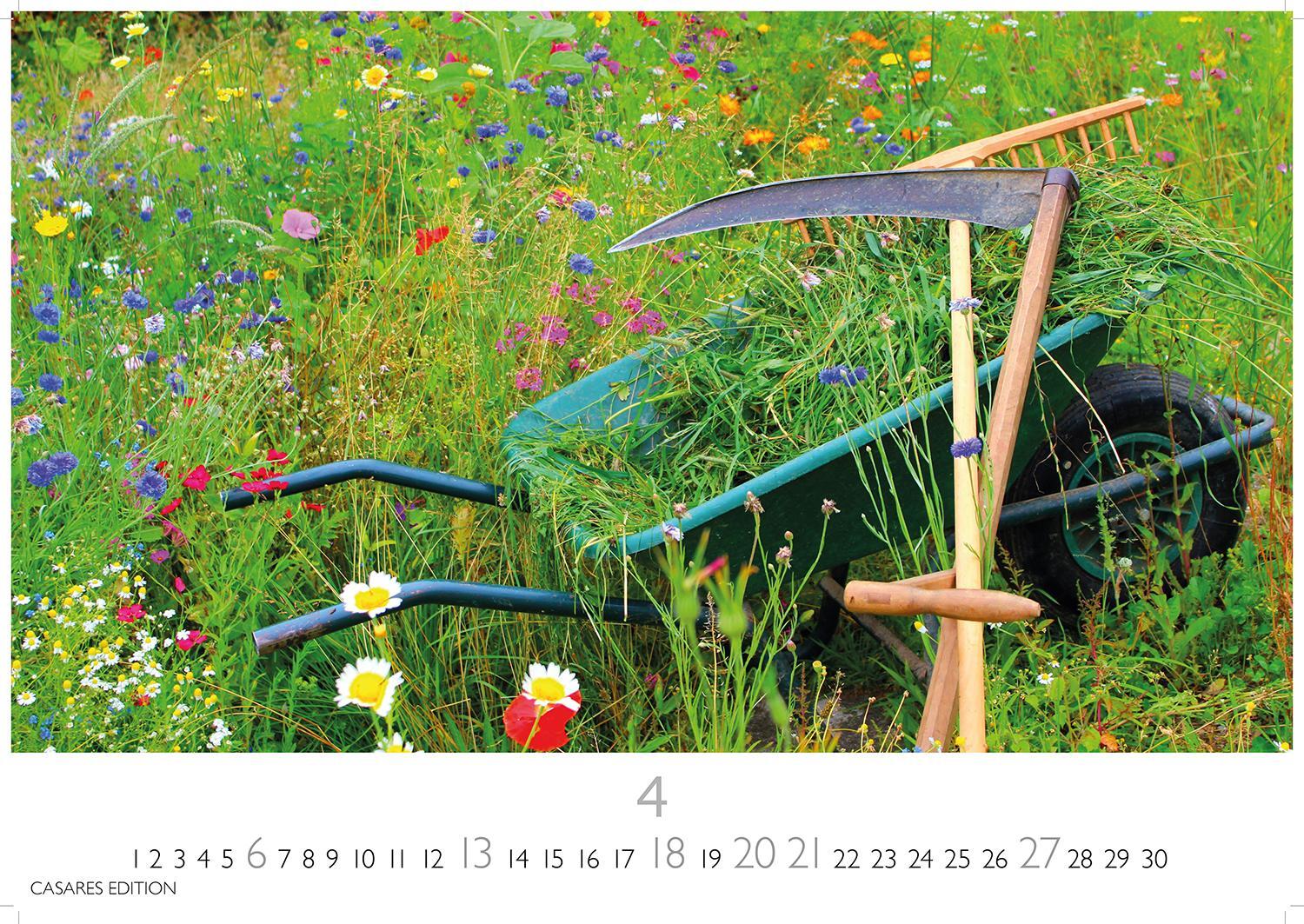 Bild: 9781835242186 | Blumenwiese 2025 L 35x50cm | Kalender | 14 S. | Deutsch | 2025