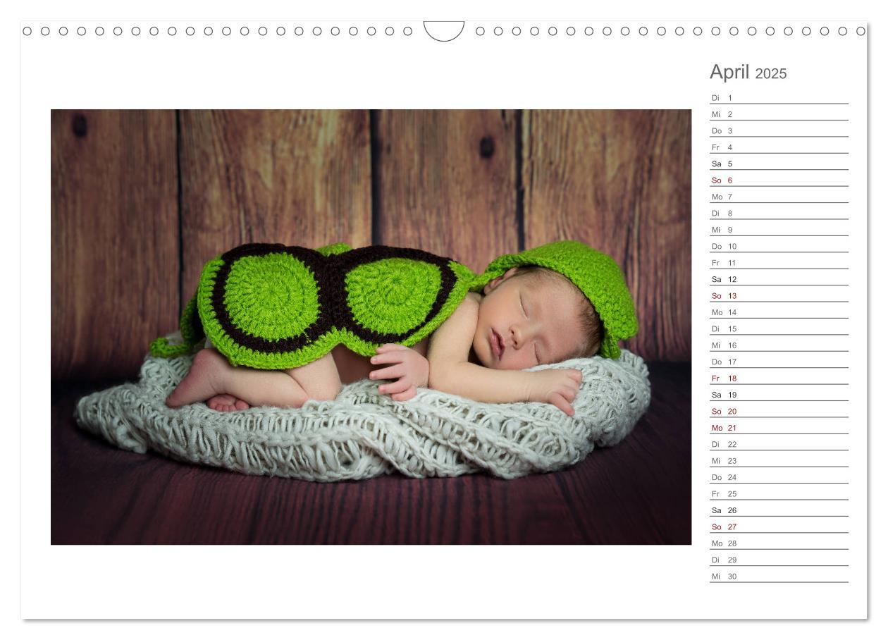 Bild: 9783435437924 | Aller Anfang ist klein - Babykalender mit Noah (Wandkalender 2025...