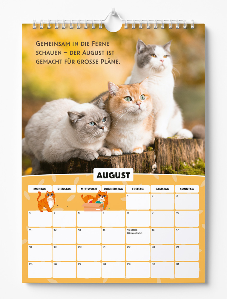 Bild: 9783989352674 | Sinas Color Cats - Ein Jahr voller Pfoten, Flausch und Funkeln | 2025