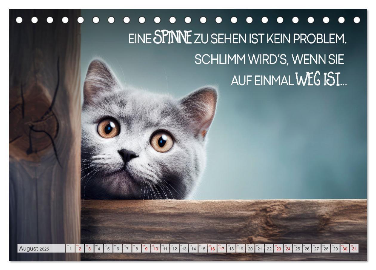 Bild: 9783383772047 | KATZEN-IRONIE Lach mal wieder (Tischkalender 2025 DIN A5 quer),...