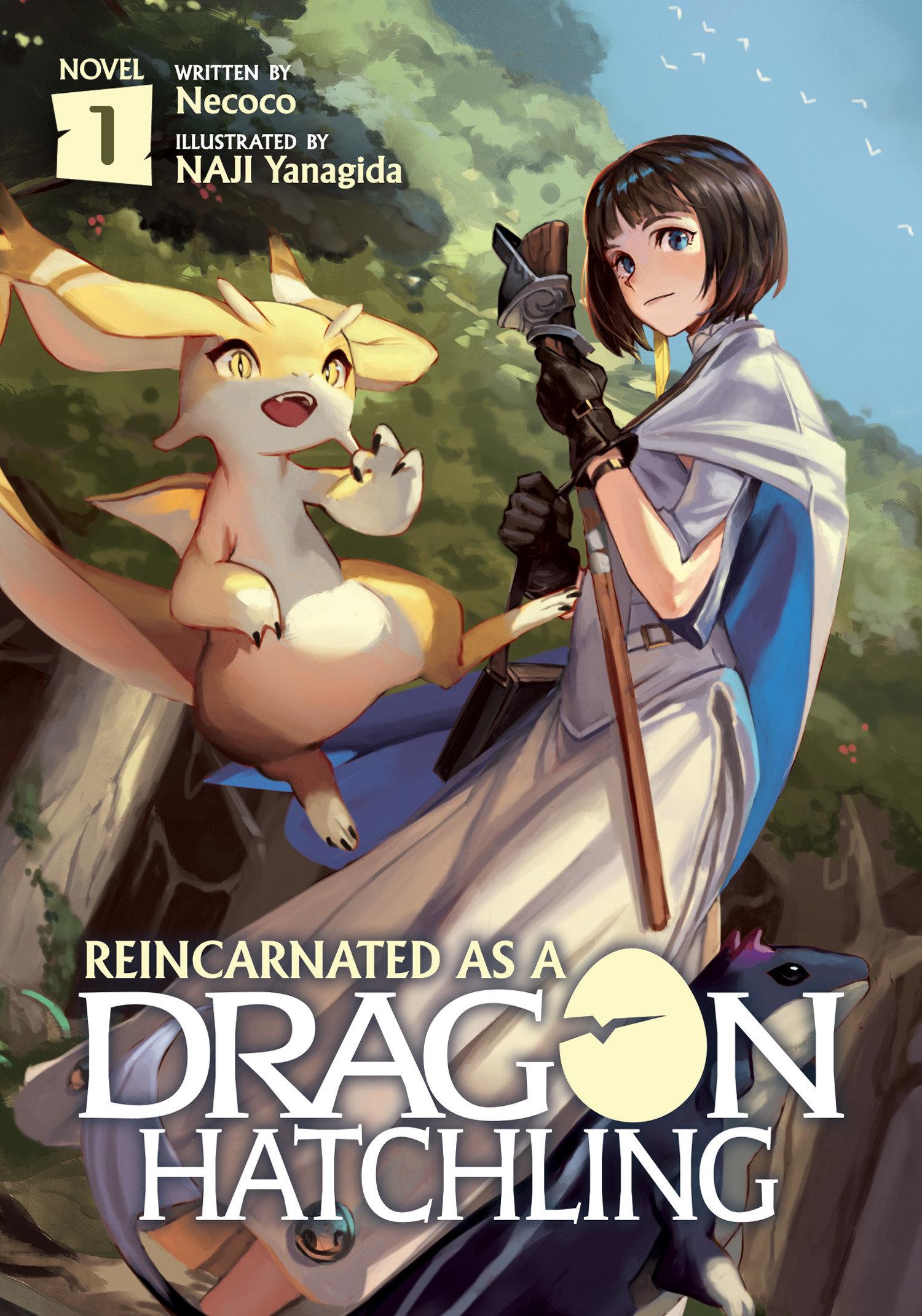 Cover: 9781648275814 | Reincarnated as a Dragon Hatchling (Light Novel) Vol. 1 | Necoco