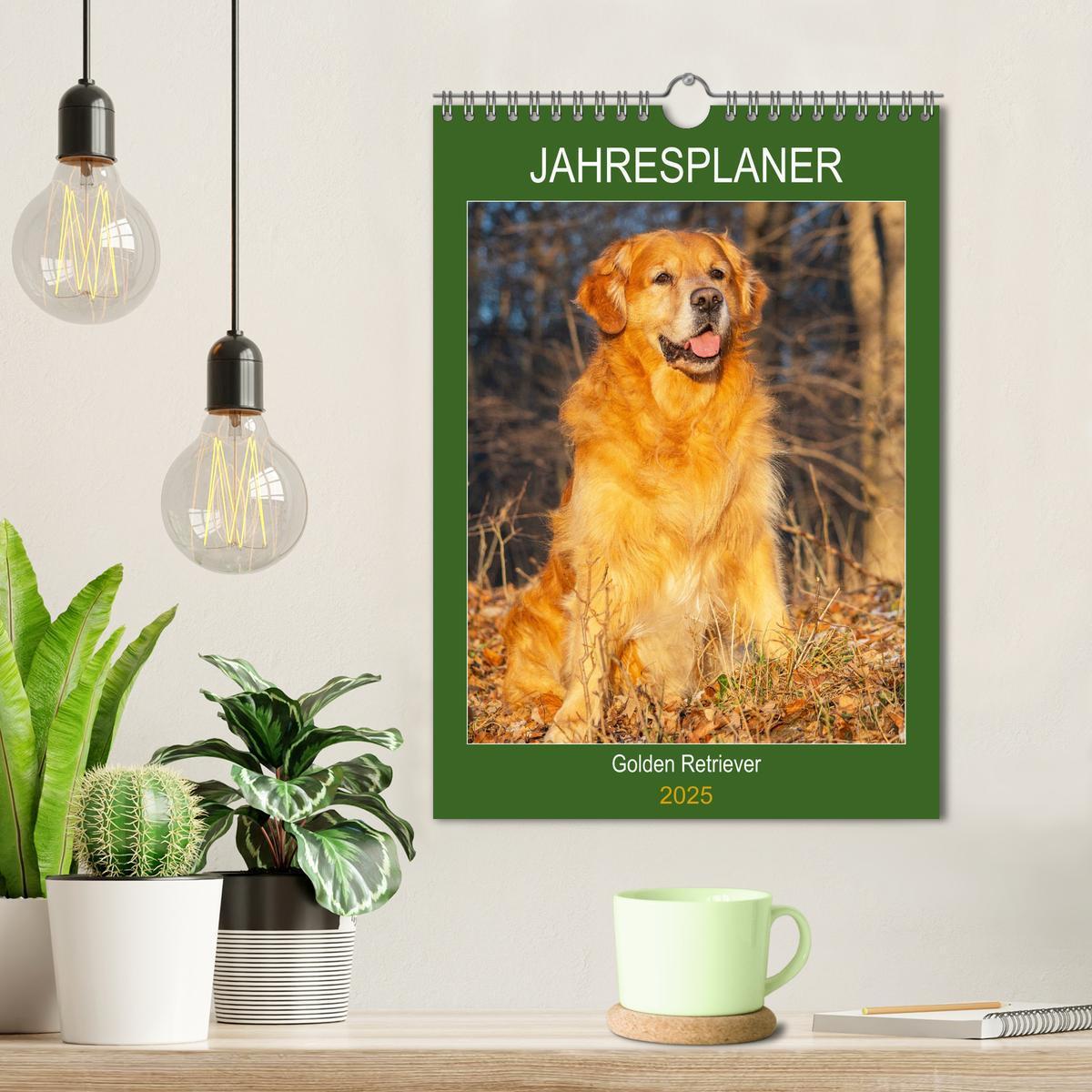 Bild: 9783435960316 | Jahresplaner Golden Retriever (Wandkalender 2025 DIN A4 hoch),...