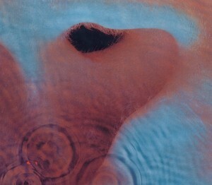 Cover: 5099902894225 | Meddle (Remastered) | 2011-Remaster | Pink Floyd | Audio-CD | CD