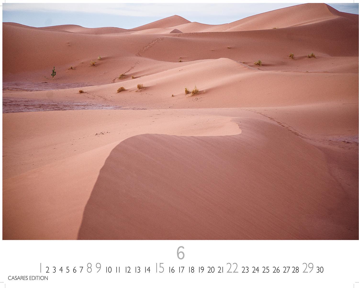 Bild: 9781835240526 | Sahara 2025 L 35x50cm | Kalender | 14 S. | Deutsch | 2025