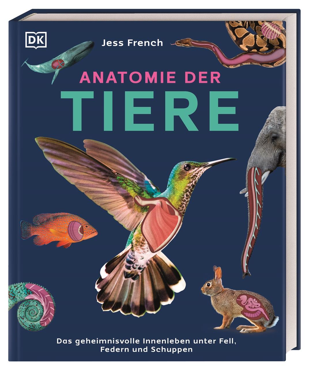 Cover: 9783831050451 | Anatomie der Tiere | Jess French | Buch | 160 S. | Deutsch | 2025