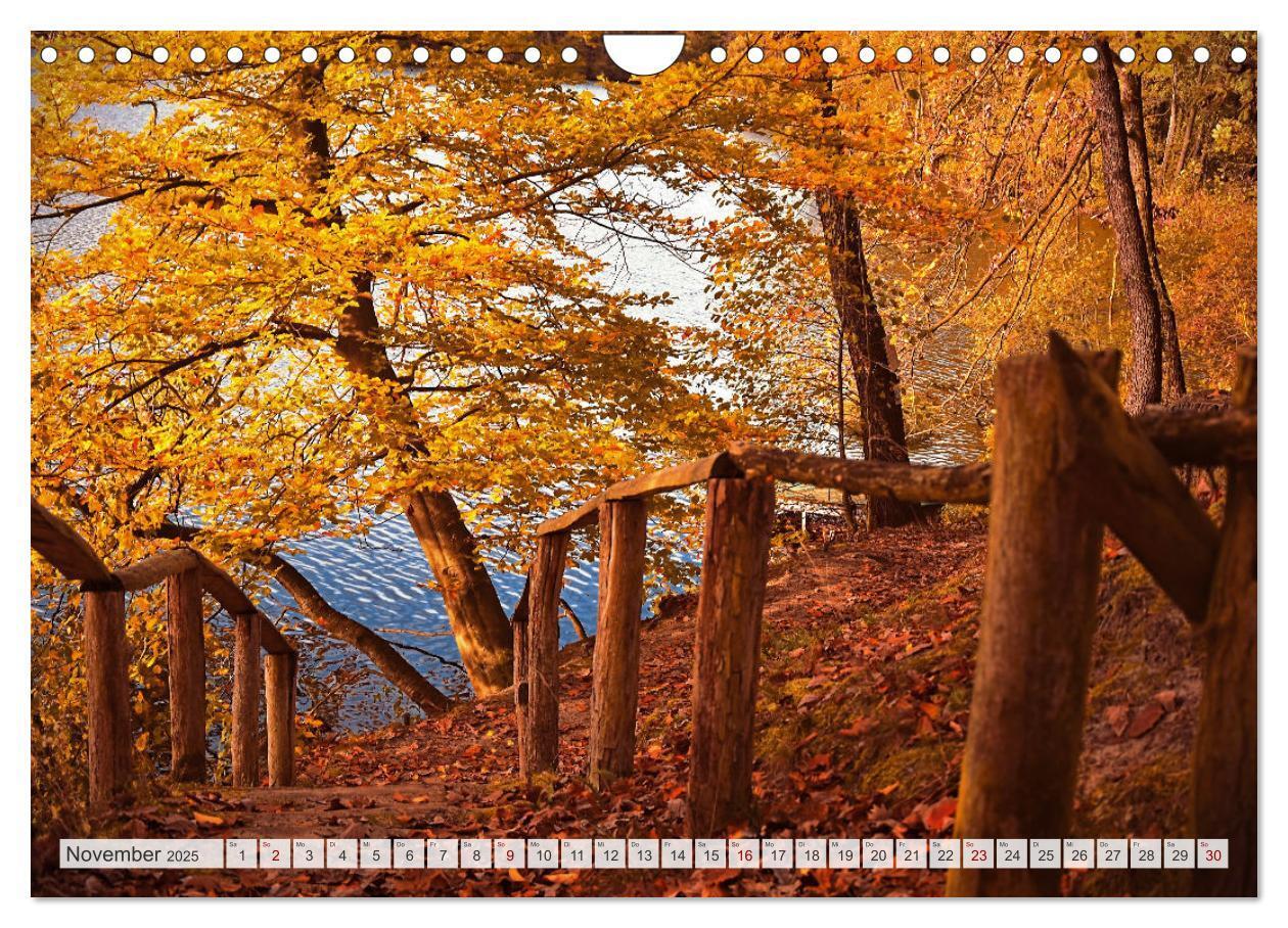 Bild: 9783383935787 | Masuren - Polens Seen-Paradies (Wandkalender 2025 DIN A4 quer),...