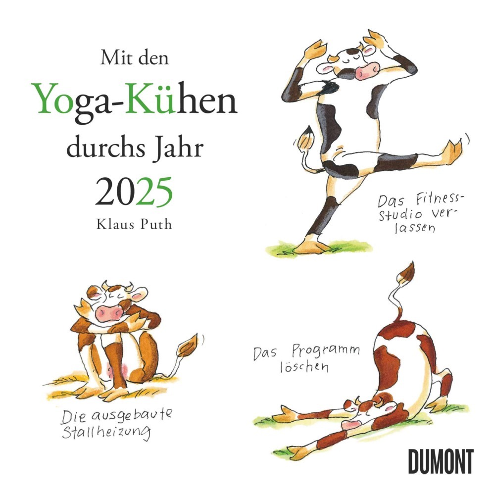 Cover: 4250809653037 | DUMONT - Mit den Yoga-Kühen durchs Jahr 2025 Wandkalender, 23x23cm,...