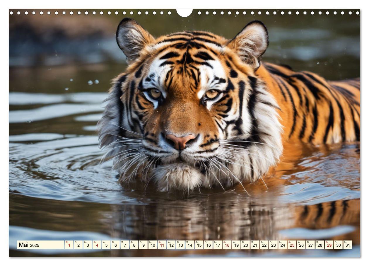 Bild: 9783383814143 | Tiger ganz nah (Wandkalender 2025 DIN A3 quer), CALVENDO...