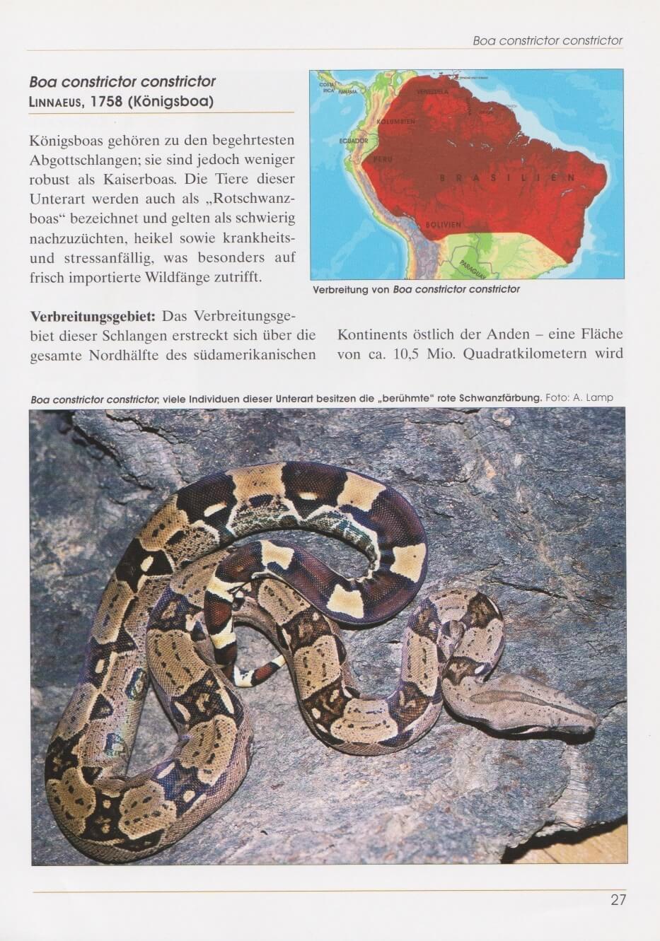 Bild: 9783931587918 | Boa constrictor | Die Abgottschlange | Stefan Binder (u. a.) | Buch