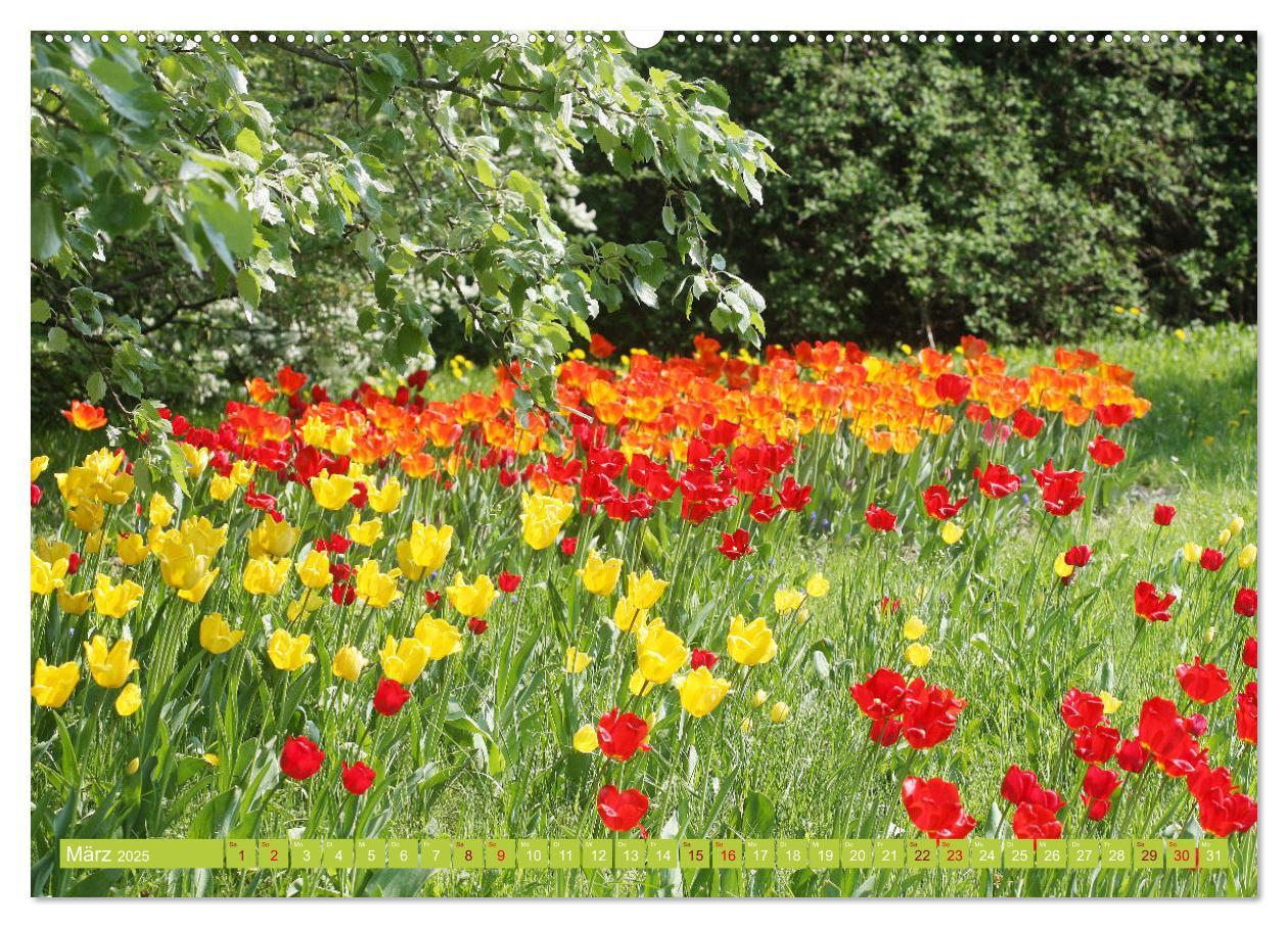 Bild: 9783435059300 | Liebenswerte Blüten (Wandkalender 2025 DIN A2 quer), CALVENDO...