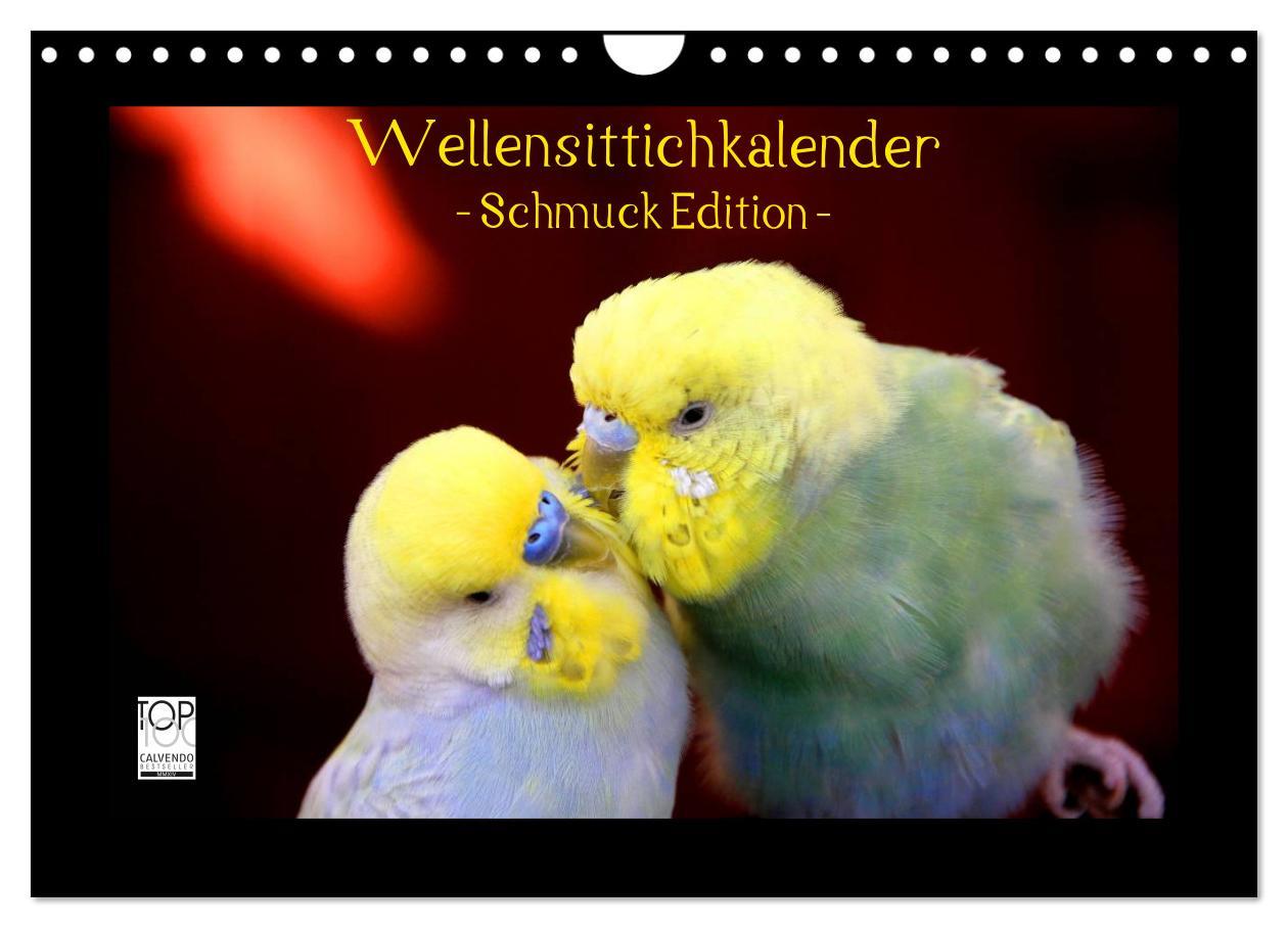 Cover: 9783435715251 | Wellensittichkalender - Schmuck Edition (Wandkalender 2025 DIN A4...