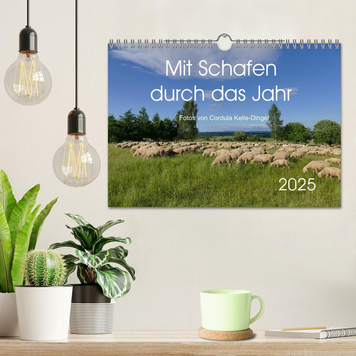 Bild: 9783435308361 | Mit Schafen durch das Jahr (Wandkalender 2025 DIN A4 quer),...