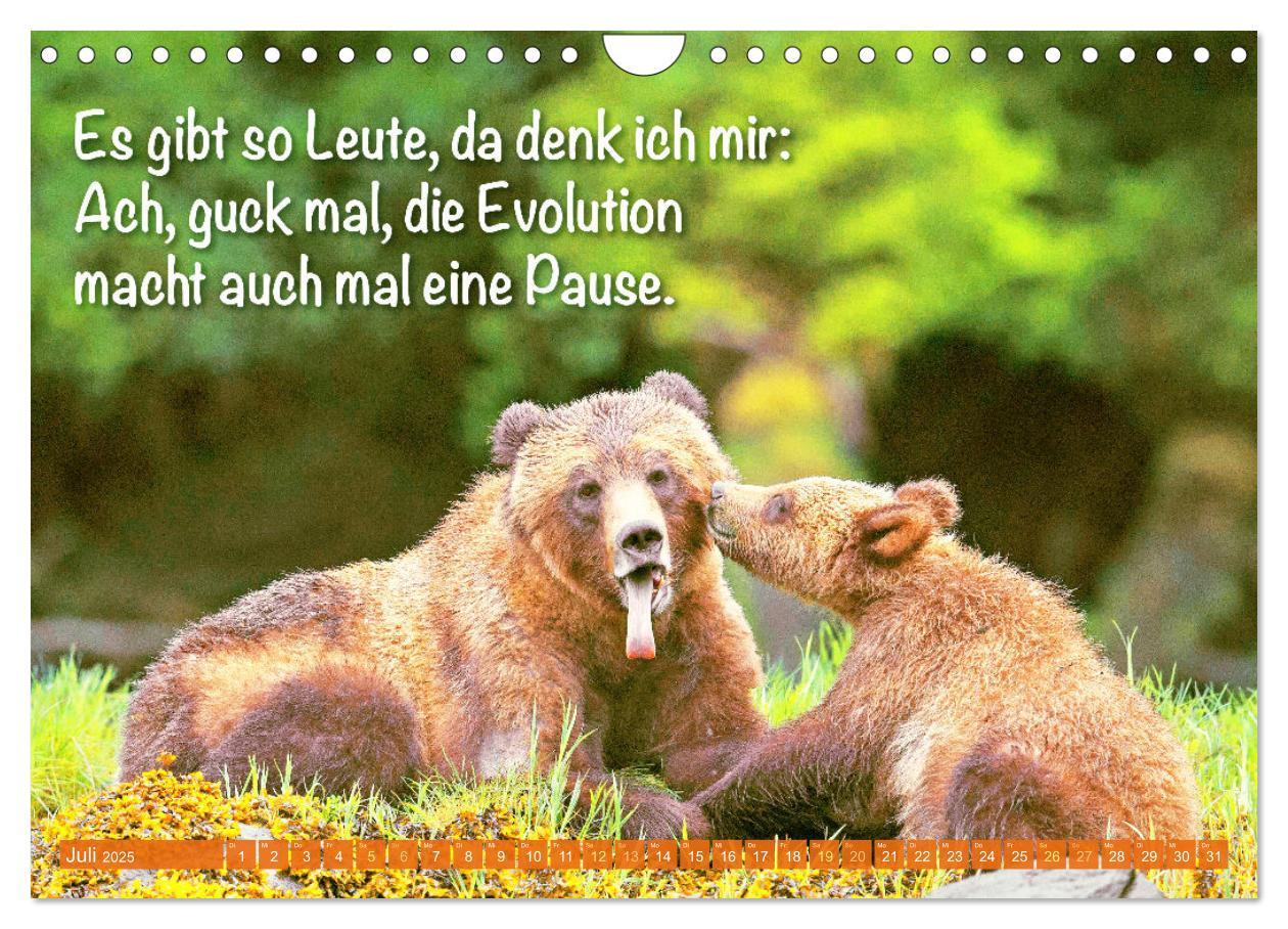 Bild: 9783383853494 | Spaß mit Bären: Edition lustige Tiere (Wandkalender 2025 DIN A4...