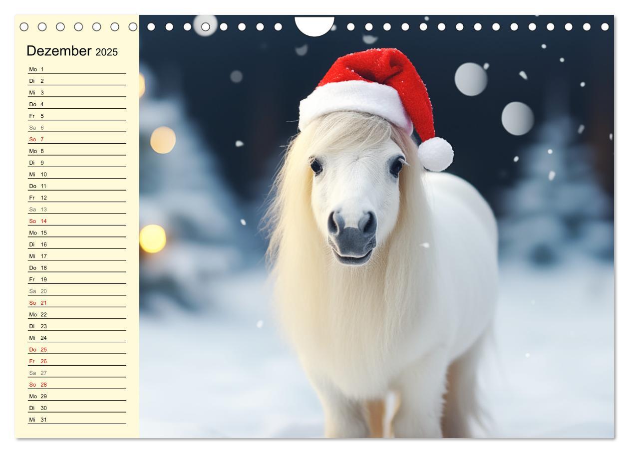 Bild: 9783435011605 | Kleine Pferde. Mini-Ponys zum verlieben (Wandkalender 2025 DIN A4...