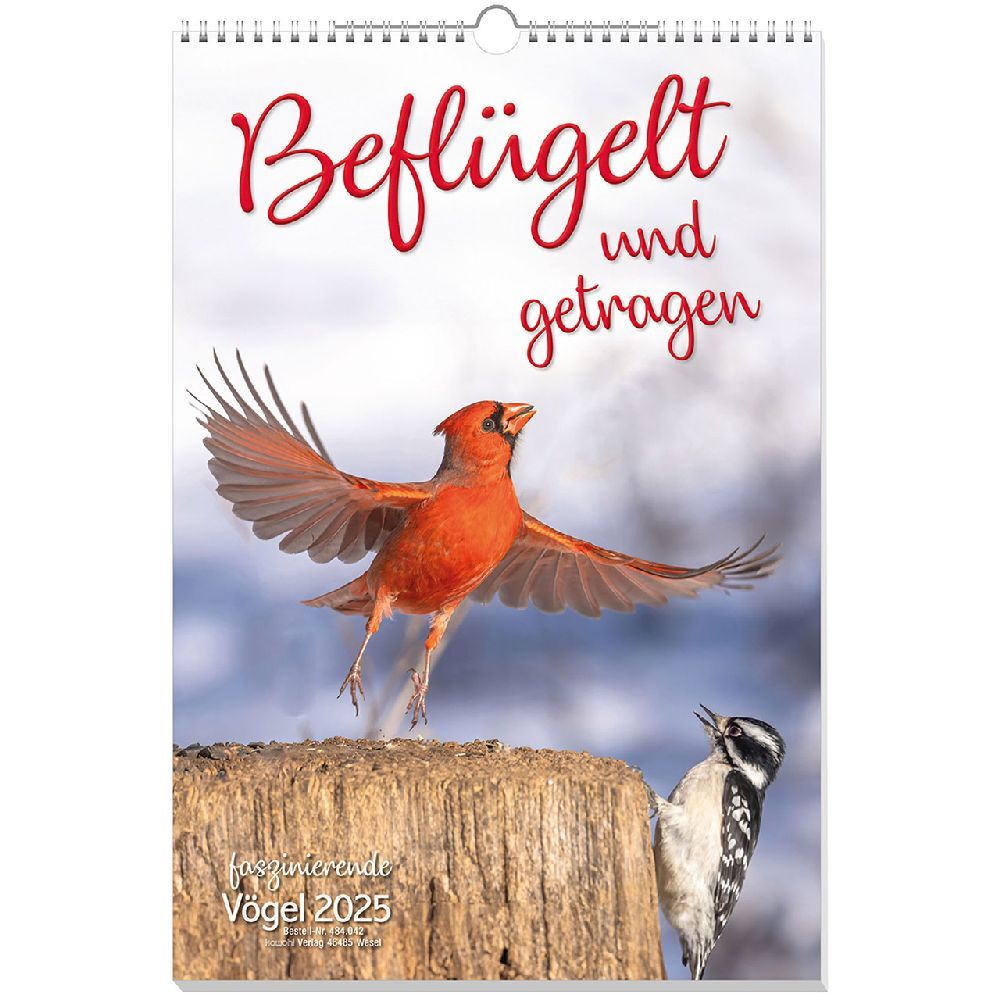 Cover: 9783754804254 | Beflügelt und getragen 2025 | Vögel | Kalender | 14 S. | Deutsch