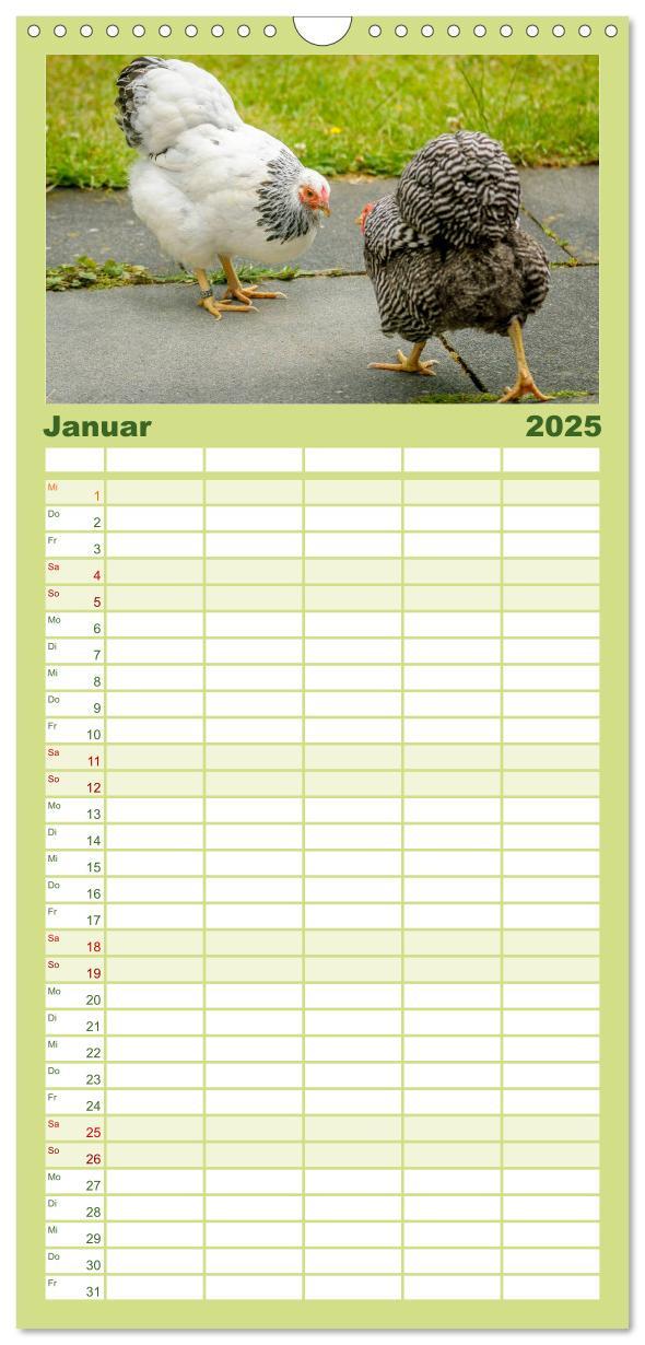 Bild: 9783457116302 | Familienplaner 2025 - Gartenhühner mit 5 Spalten (Wandkalender, 21...