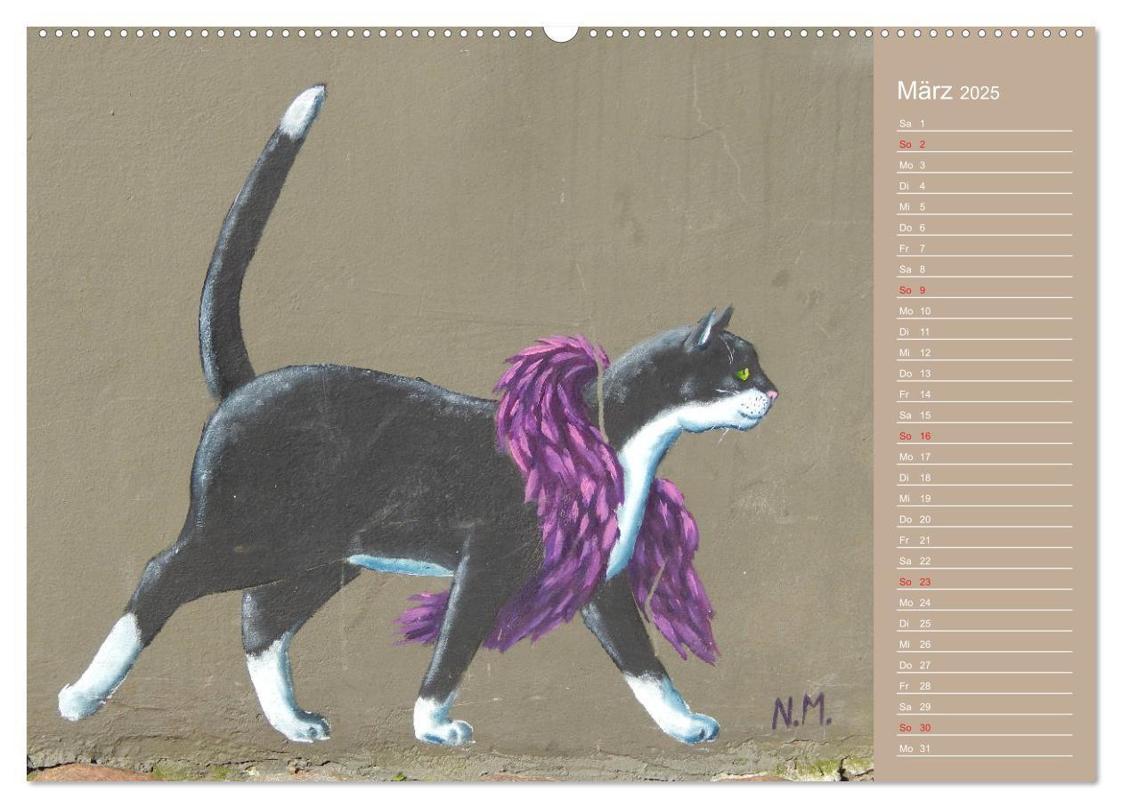 Bild: 9783435289691 | Flensburger Katzen (Wandkalender 2025 DIN A2 quer), CALVENDO...