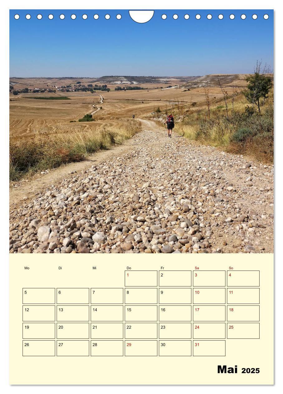 Bild: 9783435972210 | Buen Camino - Mein Jakobsweg - Camino Francés (Wandkalender 2025...