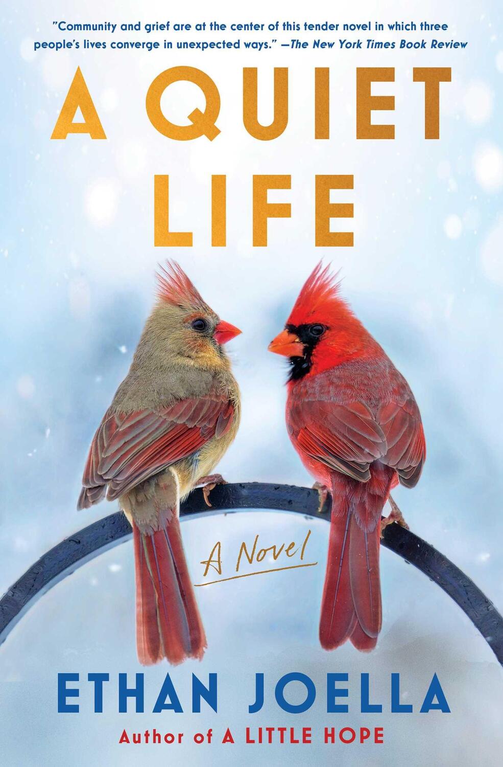 Cover: 9781982190989 | A Quiet Life | Ethan Joella | Taschenbuch | Englisch | 2023