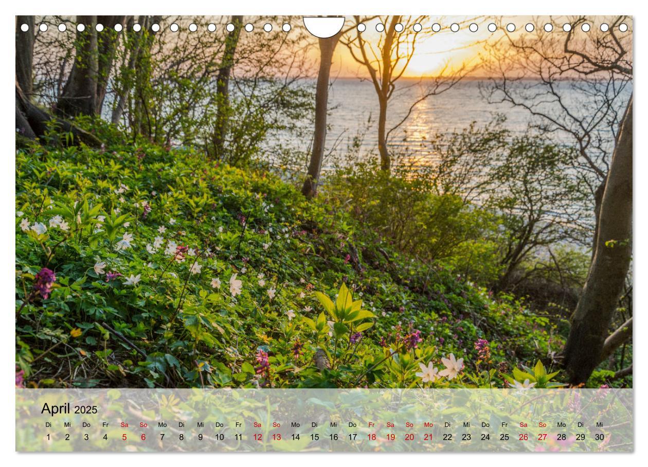 Bild: 9783383959622 | Ostseeküste Schwedeneck 2025 (Wandkalender 2025 DIN A4 quer),...