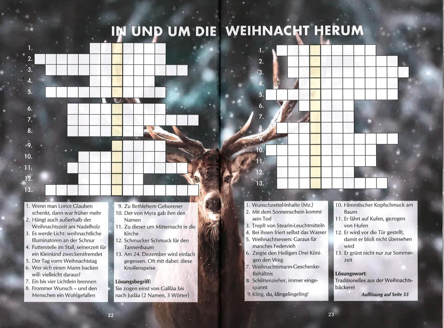 Bild: 9783831333424 | Das Rätselbuch zur Weihnachtszeit | Ursula Herrmann (u. a.) | Buch