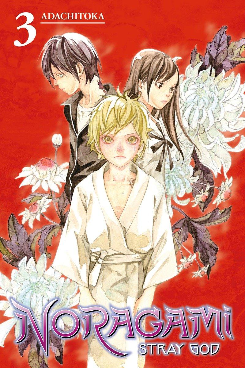 Cover: 9781612629087 | Noragami: Stray God 3 | Adachitoka | Taschenbuch | Englisch | 2015