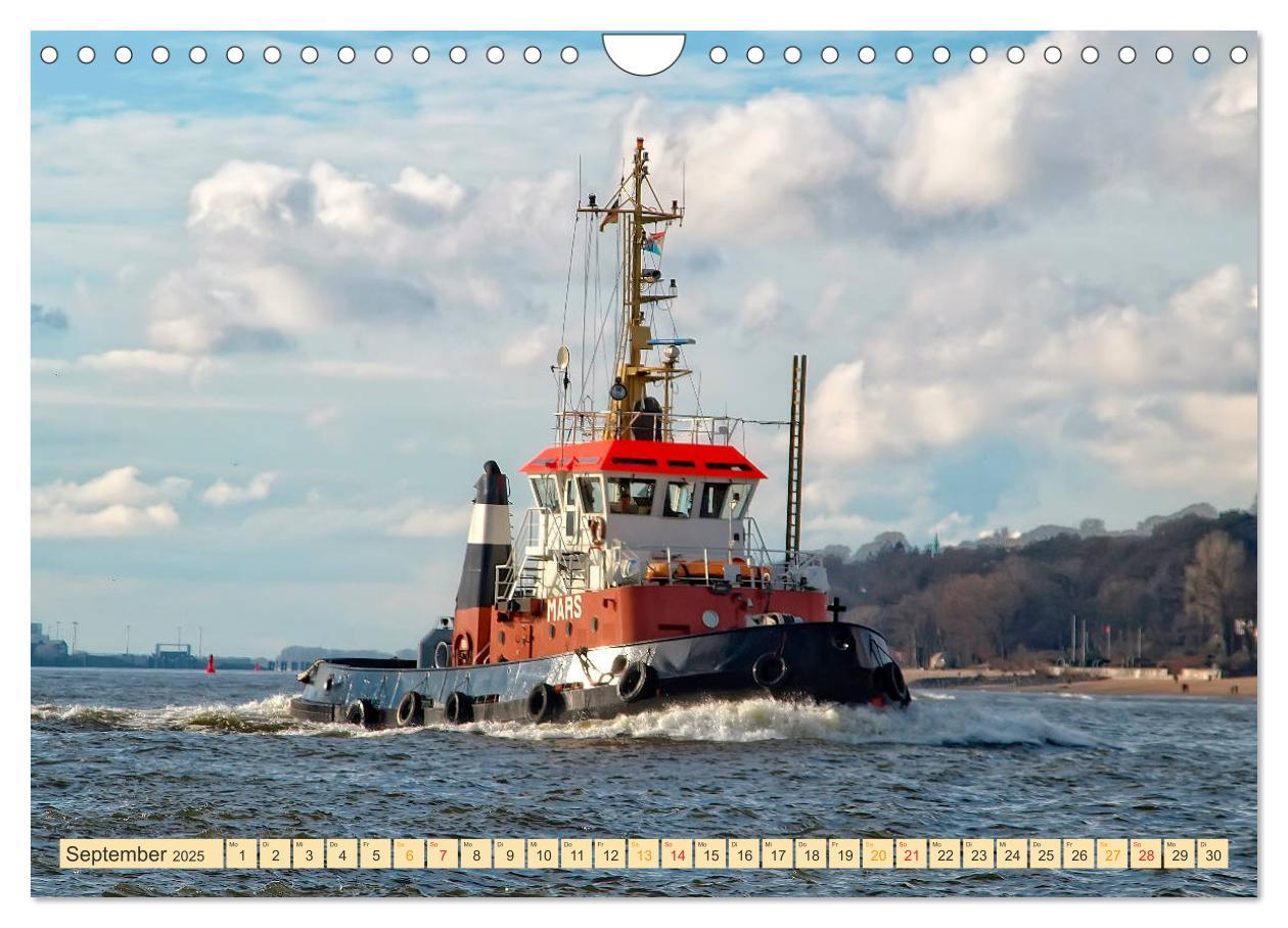 Bild: 9783435278664 | Schlepper - bärenstarke Arbeitstiere (Wandkalender 2025 DIN A4...