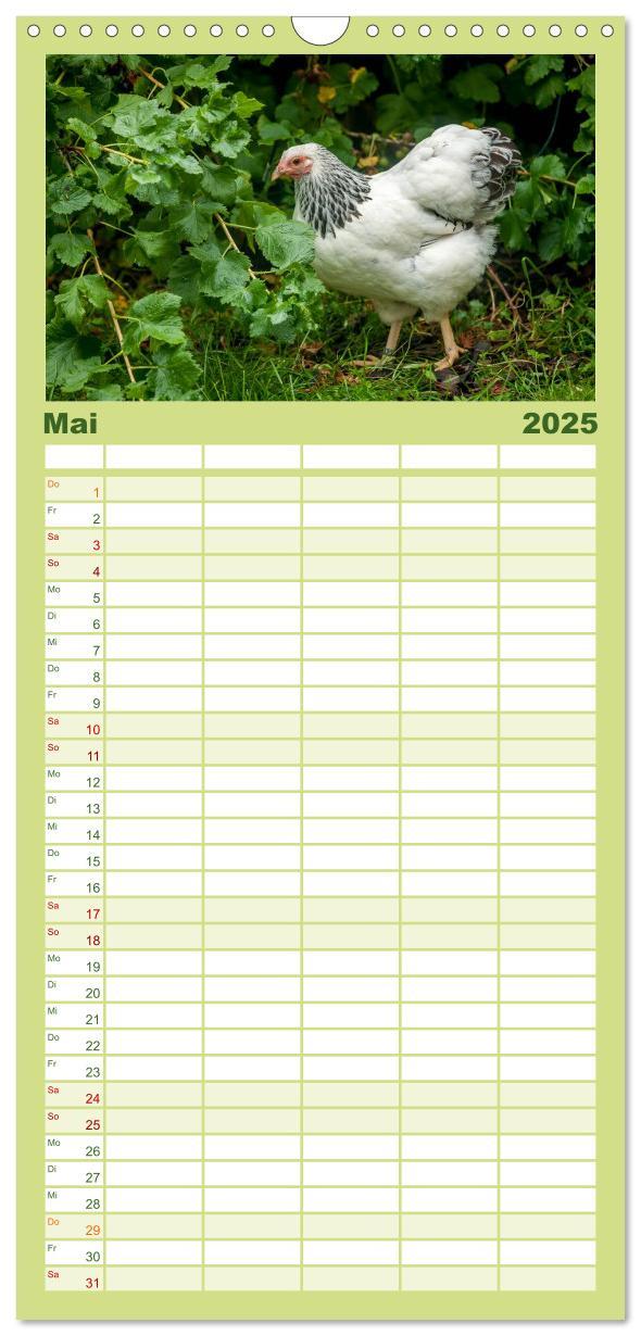 Bild: 9783457116302 | Familienplaner 2025 - Gartenhühner mit 5 Spalten (Wandkalender, 21...