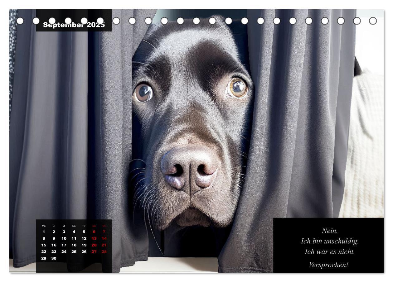 Bild: 9783435369027 | Der witzige Labrador-Kalender (Tischkalender 2025 DIN A5 quer),...