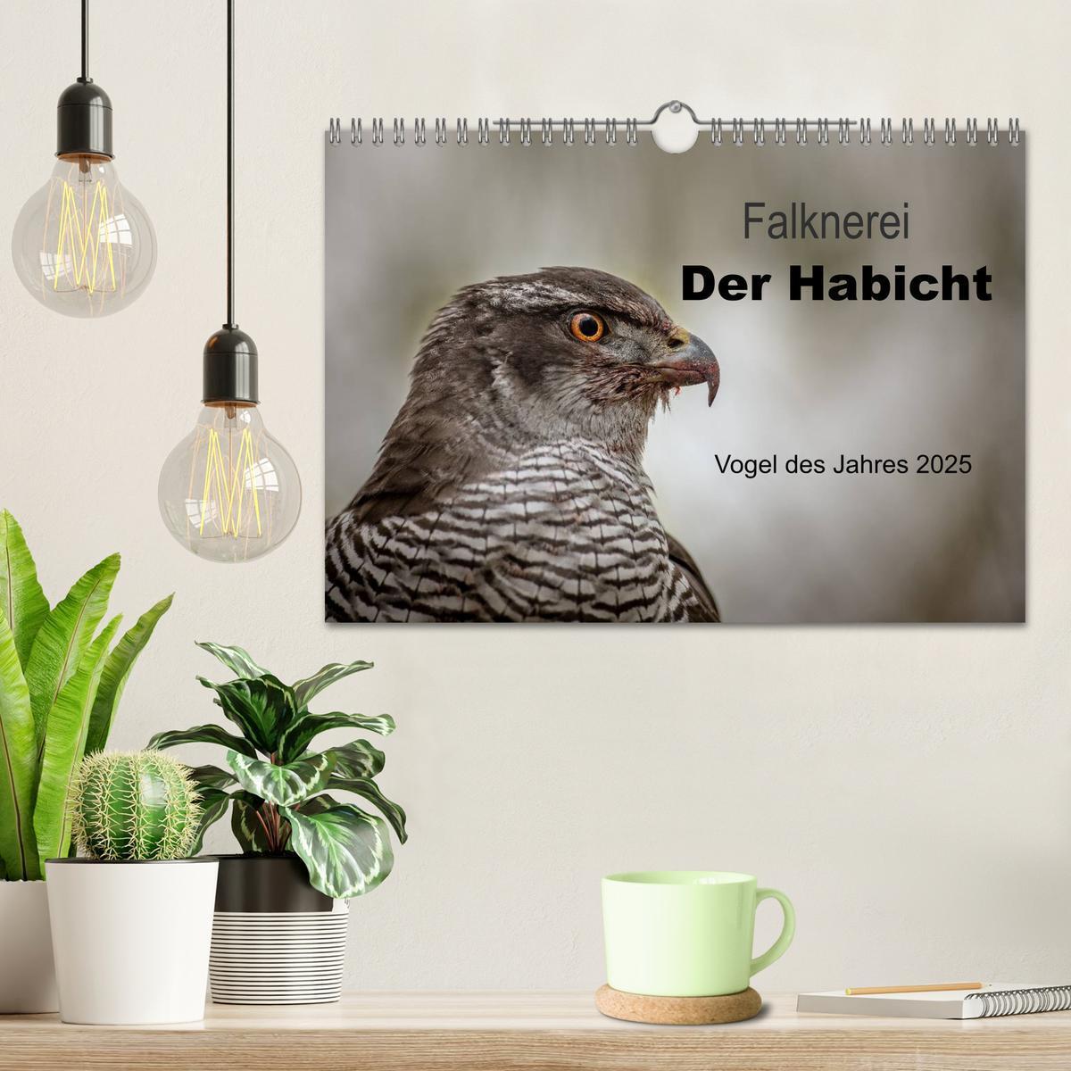 Bild: 9783435640935 | Falknerei Der Habicht (Wandkalender 2025 DIN A4 quer), CALVENDO...