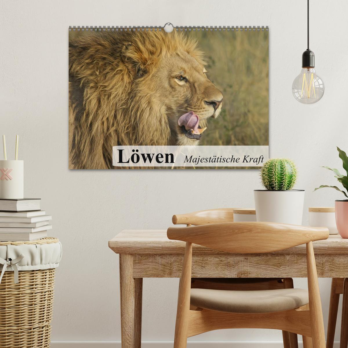 Bild: 9783435737734 | Löwen. Majestätische Kraft (Wandkalender 2025 DIN A3 quer),...