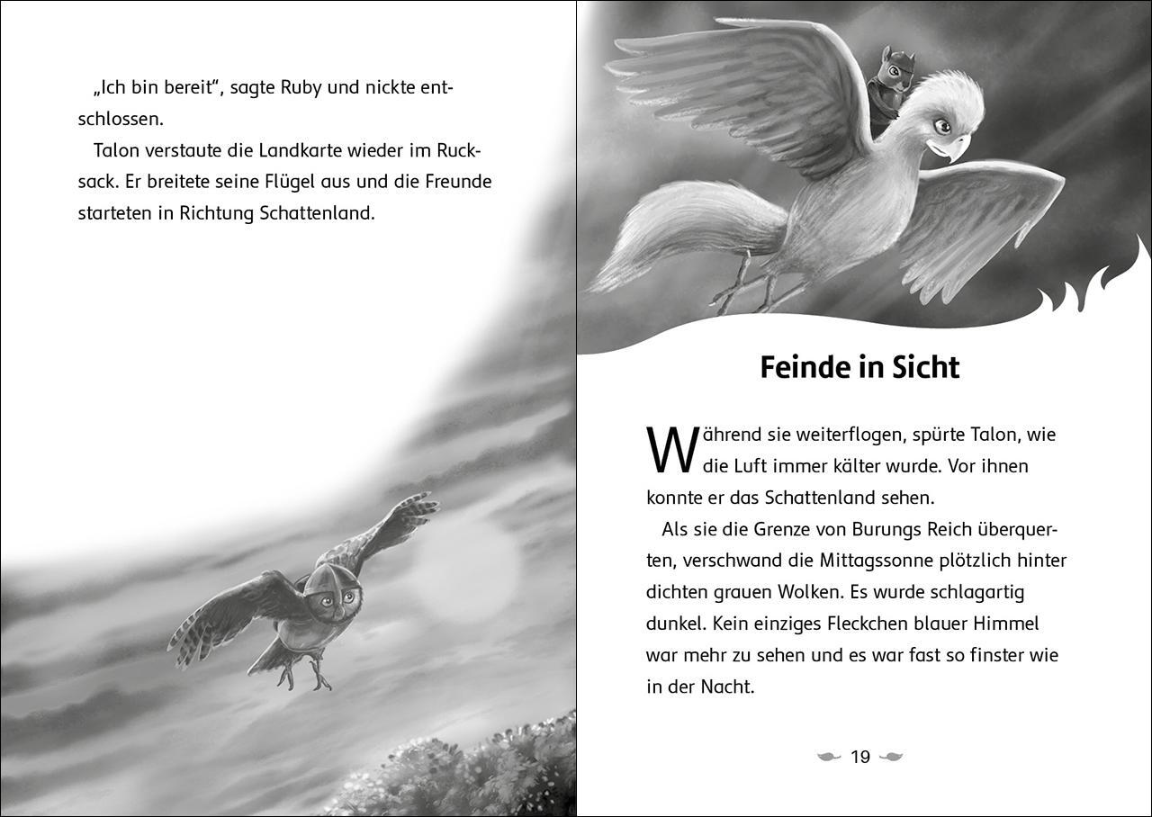 Bild: 9783743214651 | Der letzte Feuerfalke und das Schattenland (Band 5) | Katrina Charman