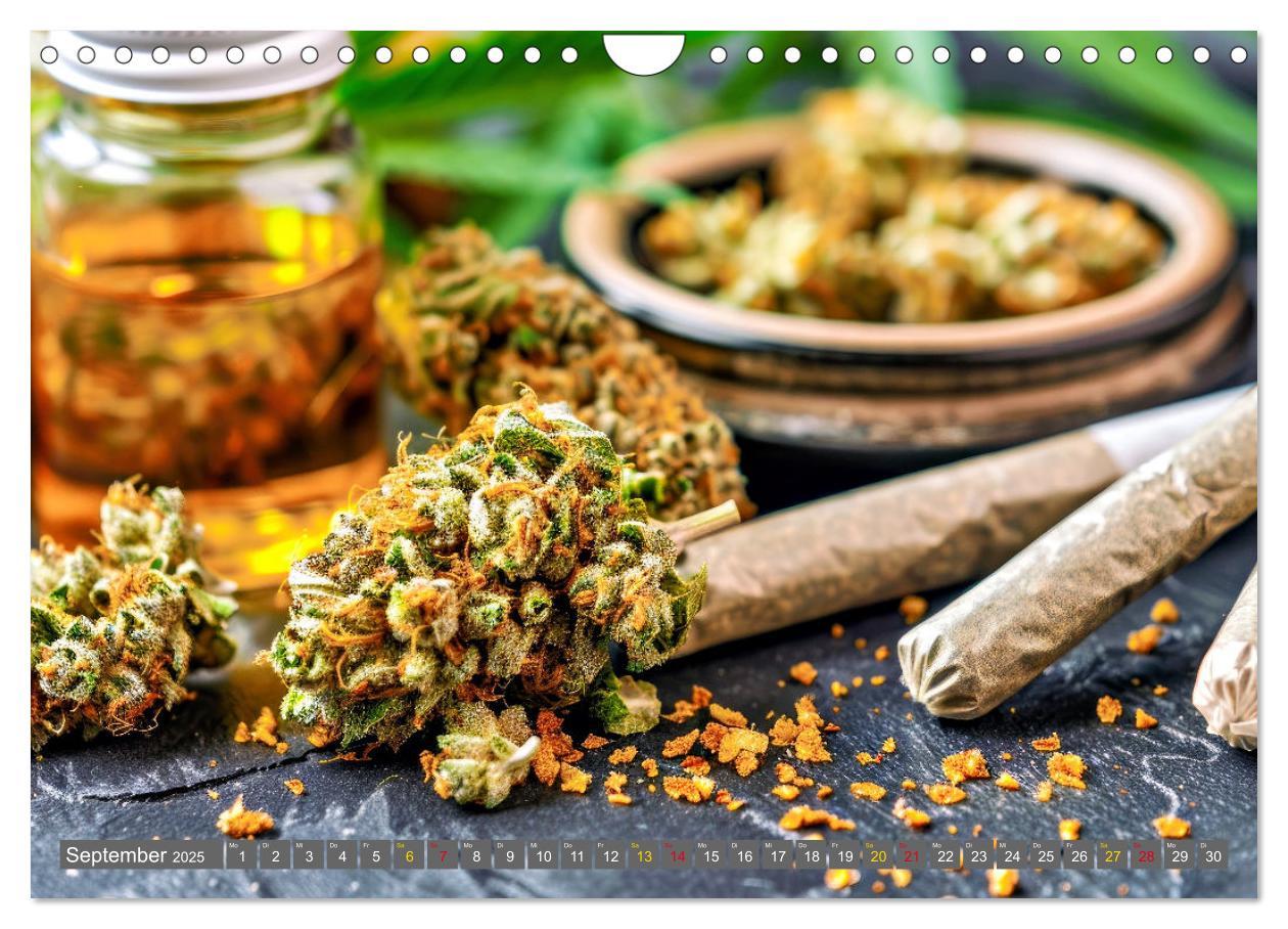 Bild: 9783435691463 | Faszination Cannabis (Wandkalender 2025 DIN A4 quer), CALVENDO...