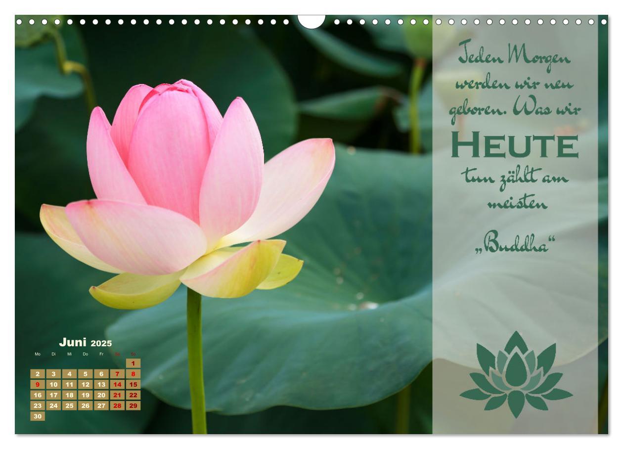 Bild: 9783383933097 | Erleuchtende Worte, Lebensweisheiten von Gautama Buddha by VogtArt...