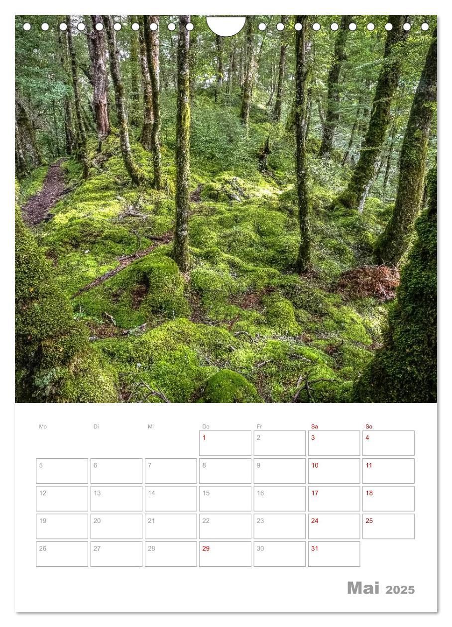 Bild: 9783435994250 | Kalenderplaner g'day Neuseeland 2025 (Wandkalender 2025 DIN A4...