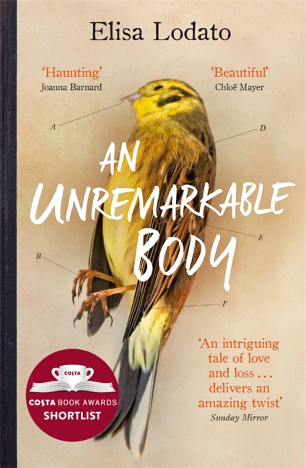 Cover: 9781474606356 | An Unremarkable Body | Elisa Lodato | Taschenbuch | 271 S. | Englisch