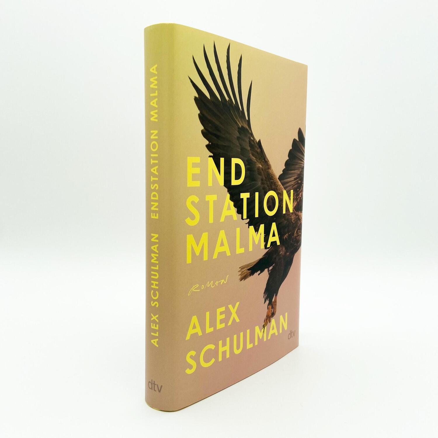 Bild: 9783423283533 | Endstation Malma | Roman | Alex Schulman | Buch | 320 S. | Deutsch