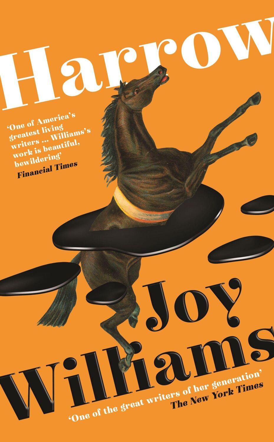 Cover: 9781800810020 | Harrow | Joy Williams | Taschenbuch | B Format Paperback | 224 S.